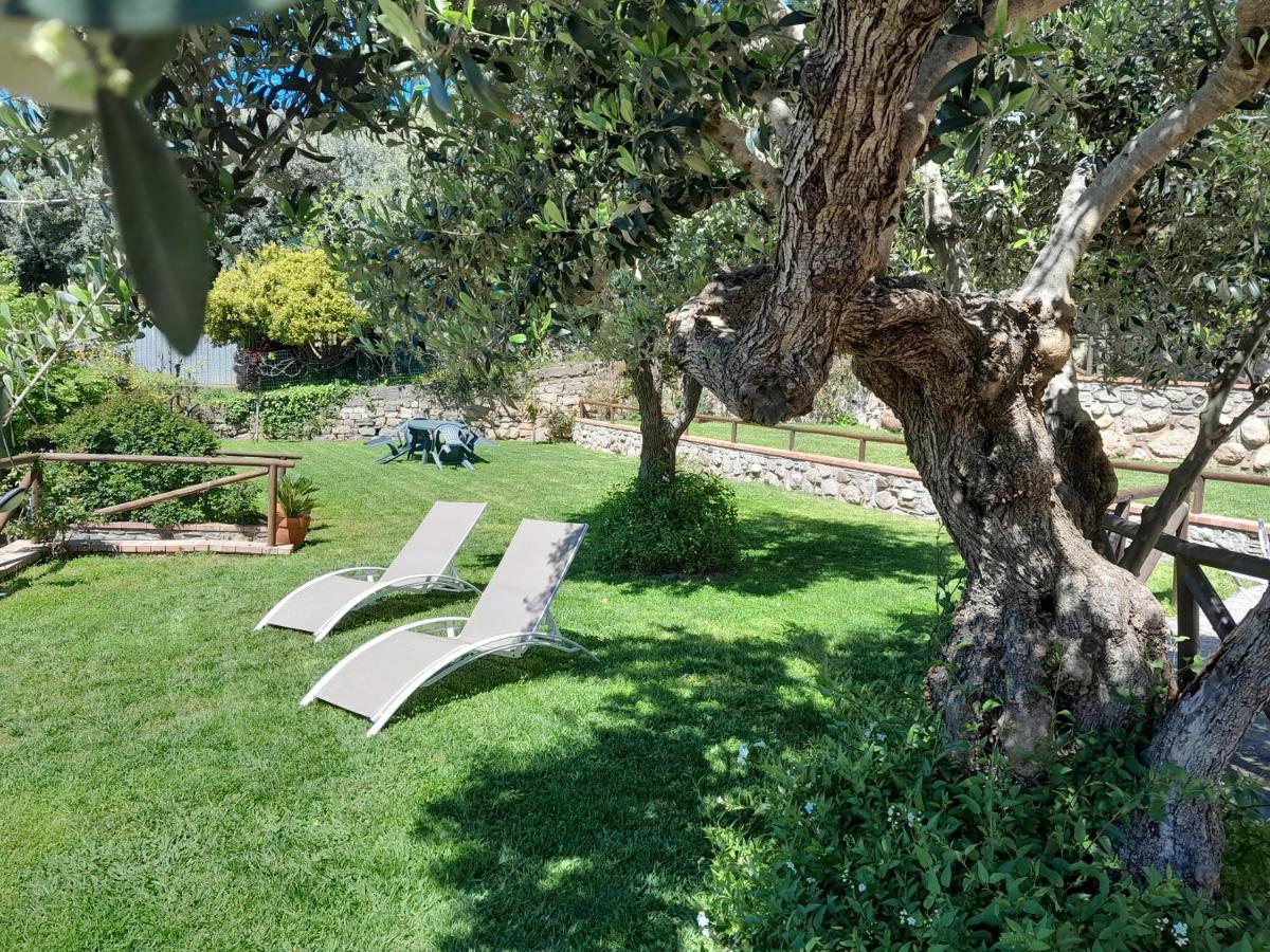 Вілла Casa Vacanze Dominella Marina Di Casal Velino Екстер'єр фото
